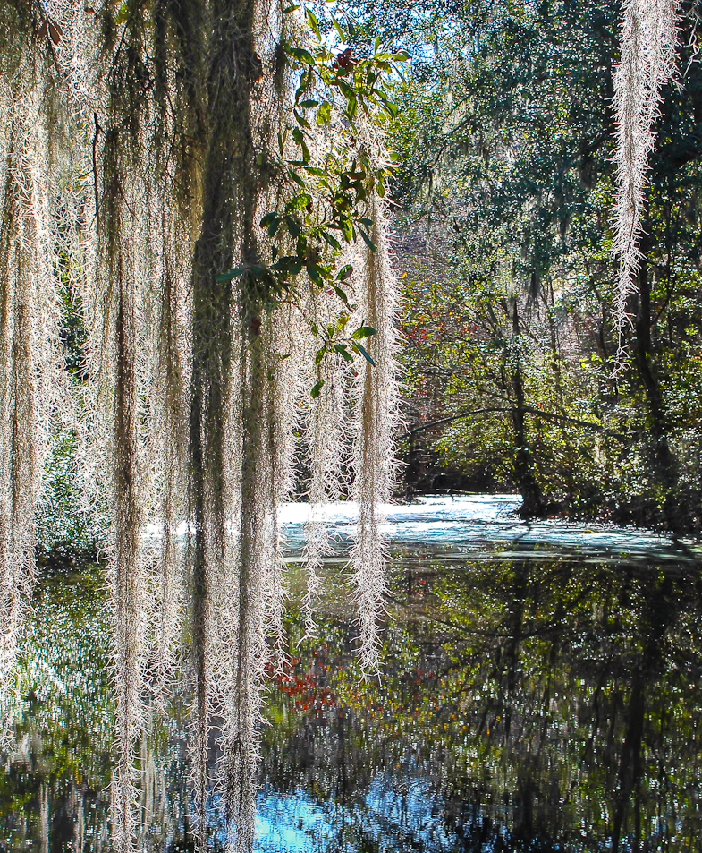 Middleton Plantation