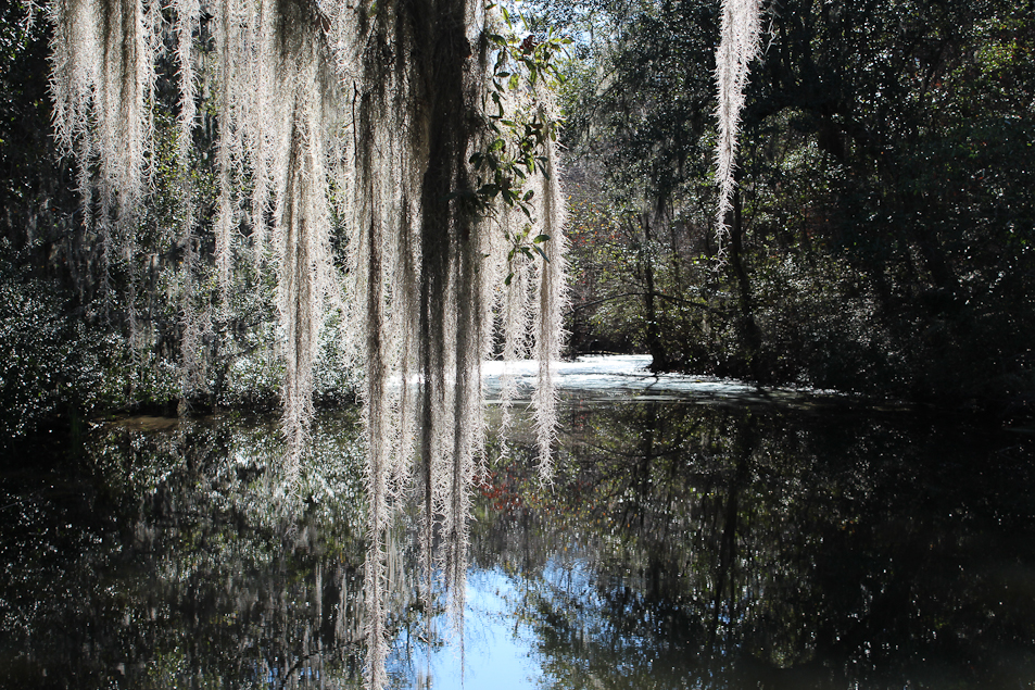 Middleton Plantation