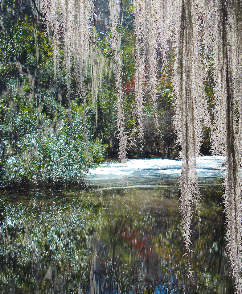 Middleton Plantation