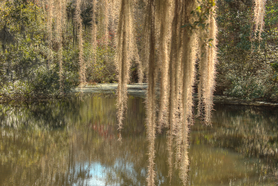 Middleton Plantation